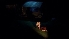 still 6